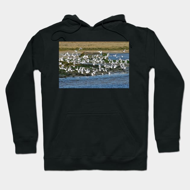 Le Conquet - L'envol Hoodie by rollier